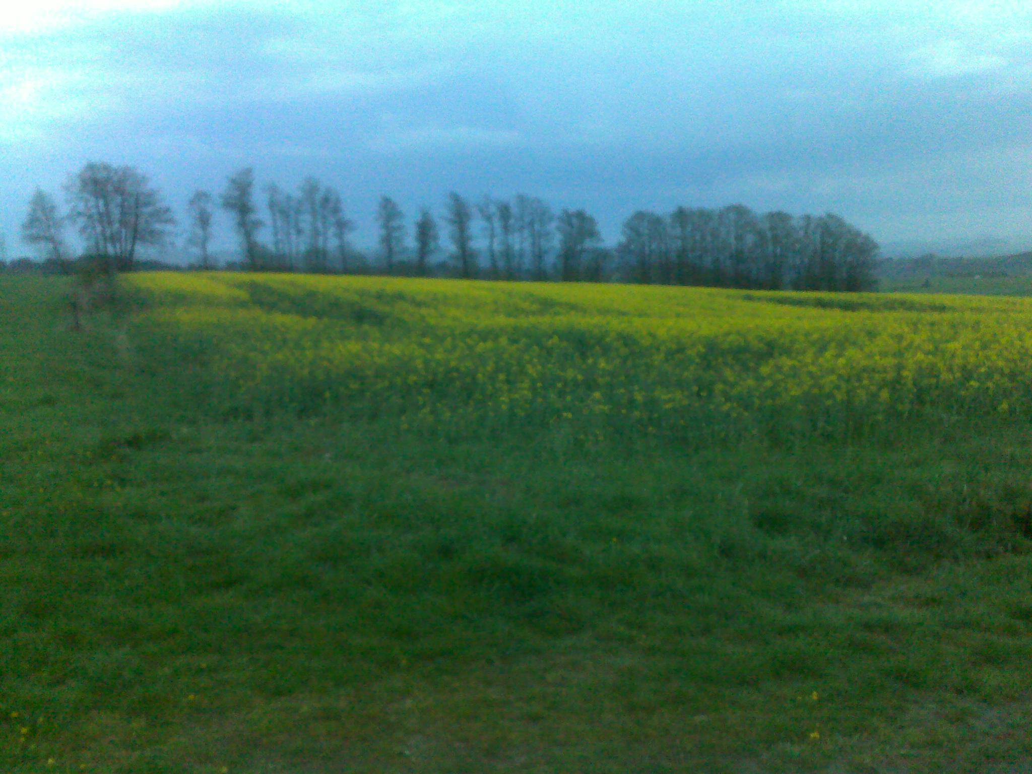 eifel